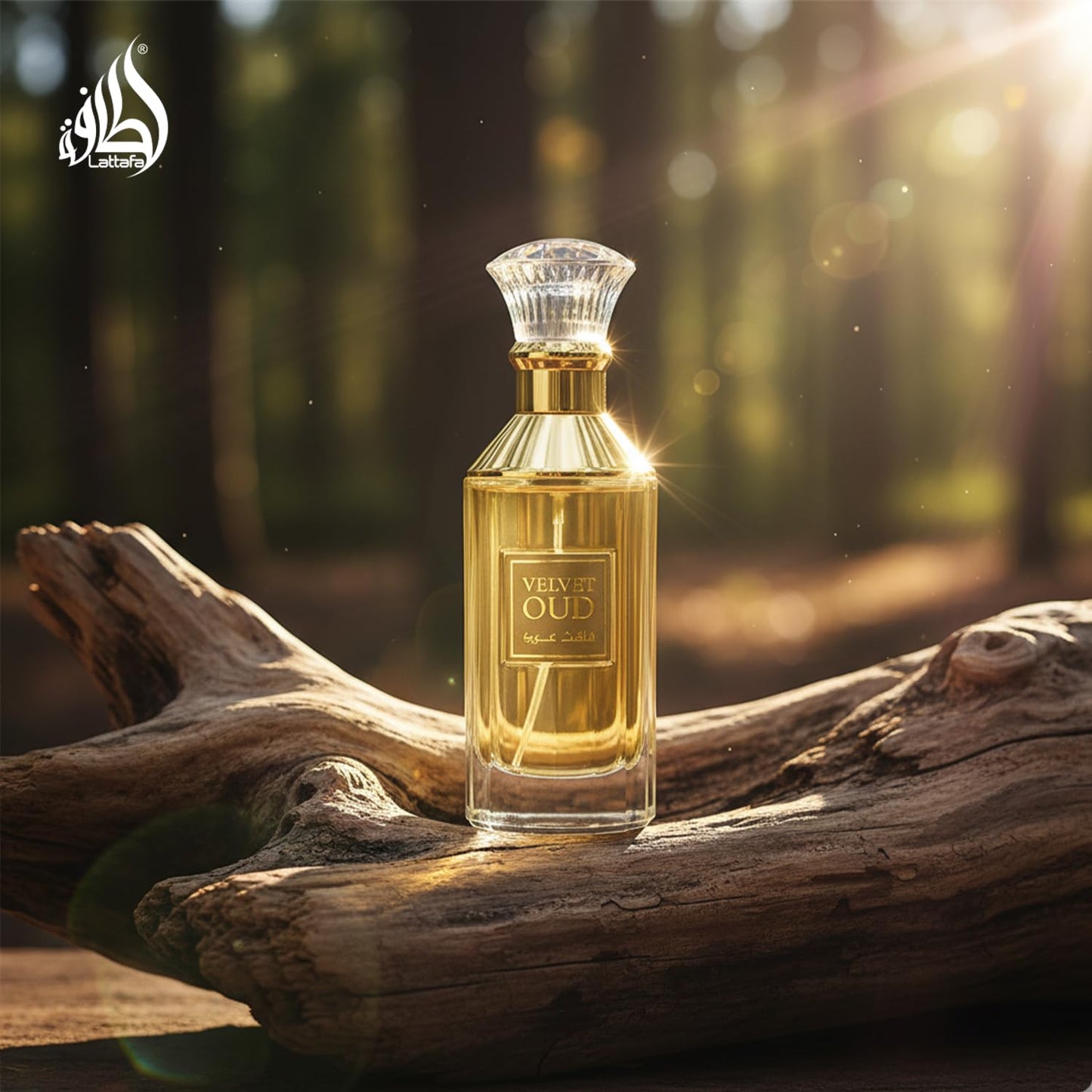 Lattafa Velvet Oud For Unisex EDP 100ml 3.4oz